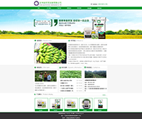 �����@�r(n��ng)�Q(m��o)�l(f��)չ���޹�˾